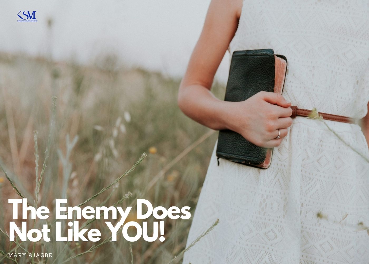 The Enemy Does Not Like You!